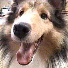 �ꂨ����B�B�B�B