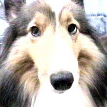 ���ꂿ����