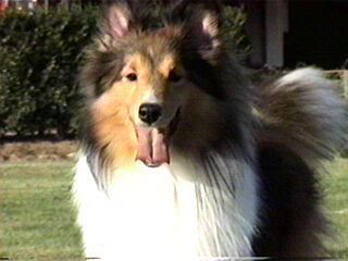 �ꂨ�Ł[����!!