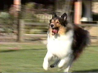 �Ђ���ف[����