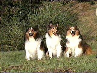 ��[���A�y�����ȁ�i�R�j