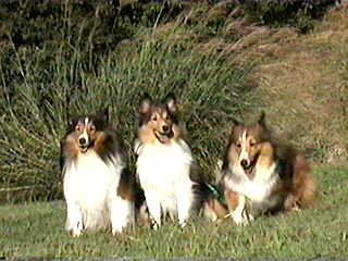 �_�b�V��!!