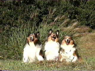 ������������������Ă邵�I