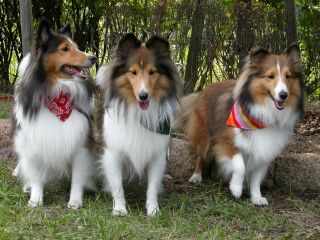 �т�����I