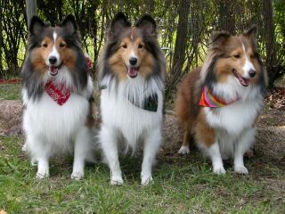 �����������āE�E�E