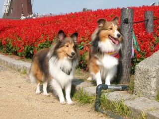 �I�t����āH