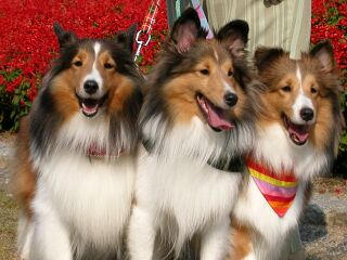 �݂�Ȍ��Ă��ˁB(��)