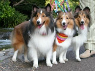 ���x�̓C�c�H