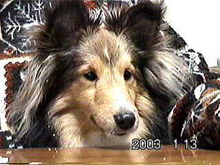 ���ɂ�A�܂邪�E�E�E