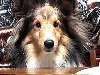 (���B��)�L���[��!!