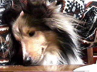 �p������