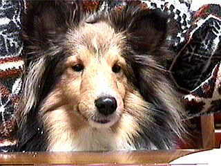 �ڃc�J���e�L�^�E�E�E