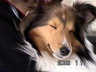 �˂ނ��́B�B�B