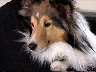 �Ƃ��Ă��c�J���^��!!