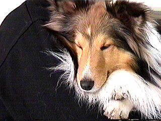 �_�J���{�N