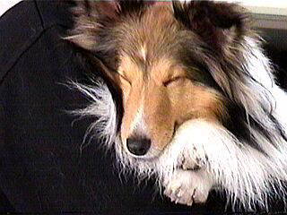 ���E�l���l��