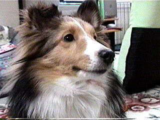 (���B��)�L���[��!!