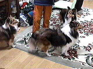 �䂪�Ƃ��Ĉ�́E�E�E