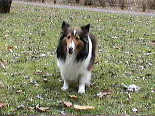 ���X�����B(��)