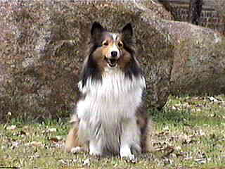 �ɂ������