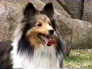 �ւ��ւ��ւ��E�E�E