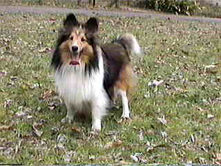 �ł��A�܂��܂�����[�C�I