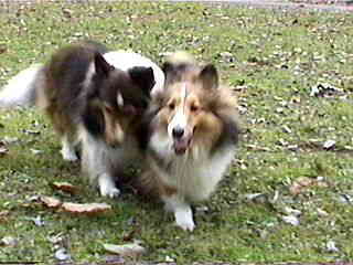 �ށ[�̑̓�����I