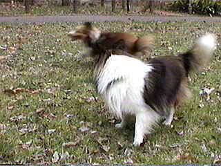 �_�b�V���[�[�[�[��