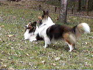 ���̂܂܃h�R�J�ɍs����������I(��)