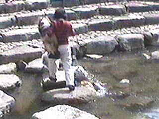 �ށ[�̓_�b�R�Ł�