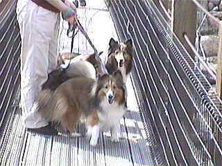 �ւ������I