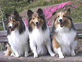 �܂����悤�ˁI