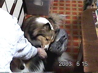 ��[���p�N�����I