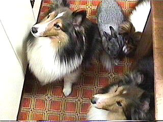 �o�Ƃށ[�͖��k���H