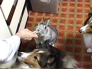 �������o�������B