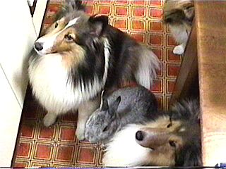 ���������~�Q