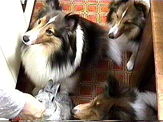 �͂��o�����B