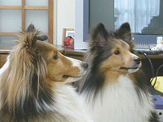 ���x�݂̓��̓R������ˁI