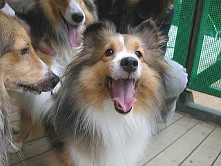 �ށ[�����ɂ������