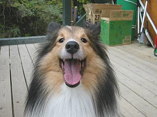 �ꂨ����ɂ�����I