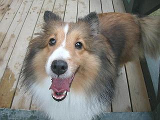 �J�����ڐ��I�i�΁j