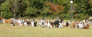 ���Ԗ��i�I�t��