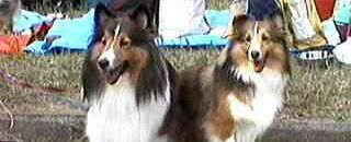 �G���B�e��