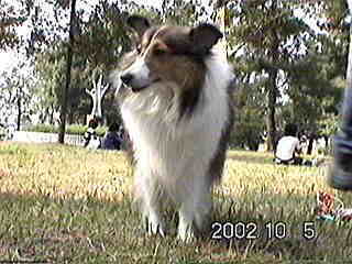 �����̓����R����肾�ˁB