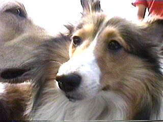 ���Ё`�B���������`�B(��)