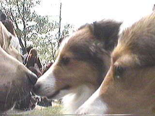 ���u���񂽂��A����ɂ�������