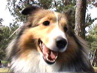 �ށ[�@�Ł[����