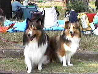 ����������A���Č��āI