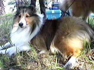 �킽���́A�܂�����h��I