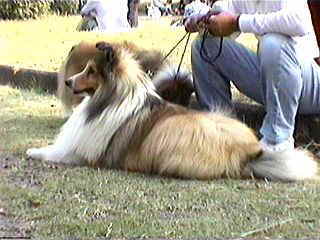 �{�N���A�������܂�����h�B